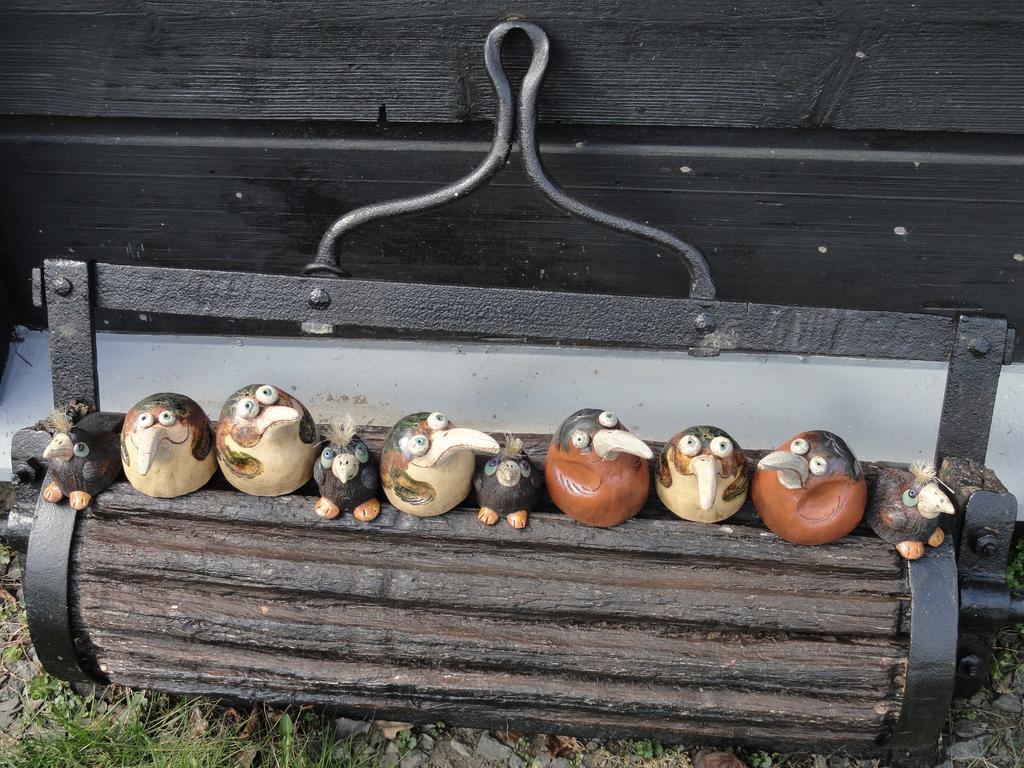 Penzion Pod Zeleznym Vrchem ชริบสกา ห้อง รูปภาพ